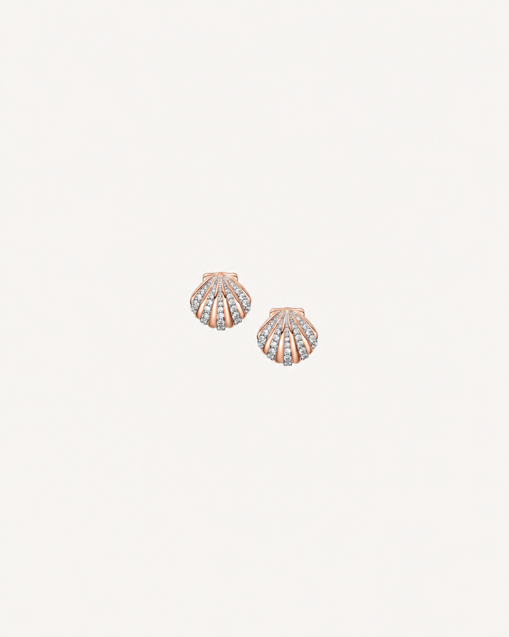 Ribbed Shell Studs - Rose Gold