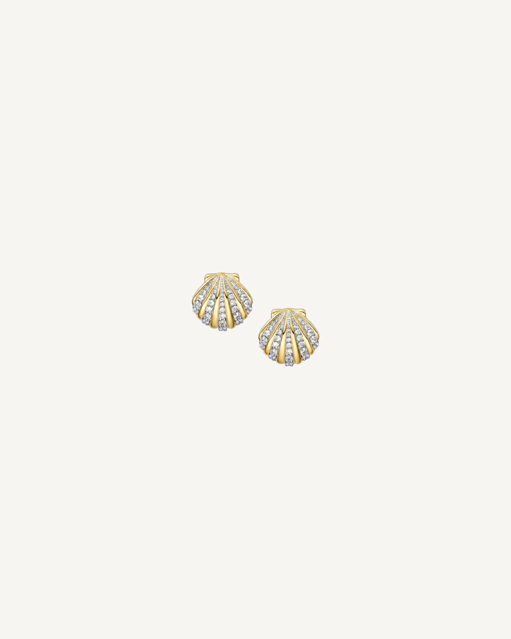 Ribbed Shell Studs product image on Oyster Silk background